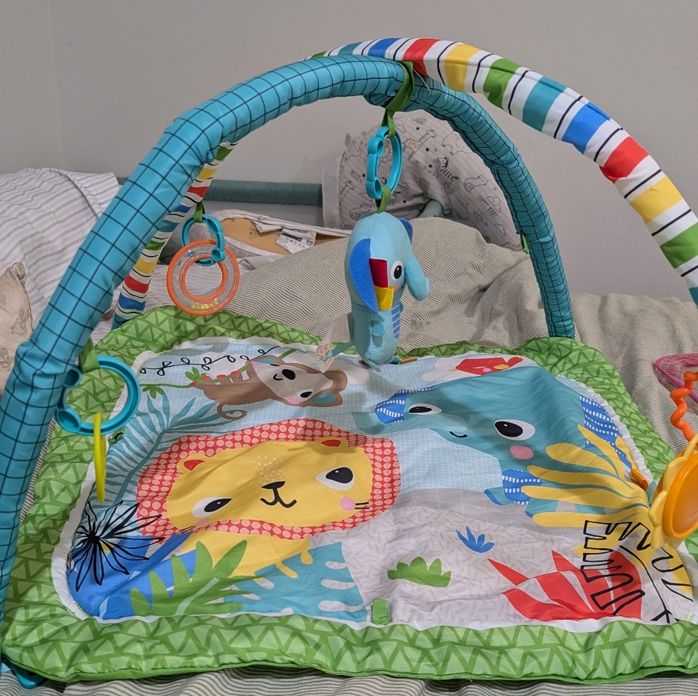 Activity gym
